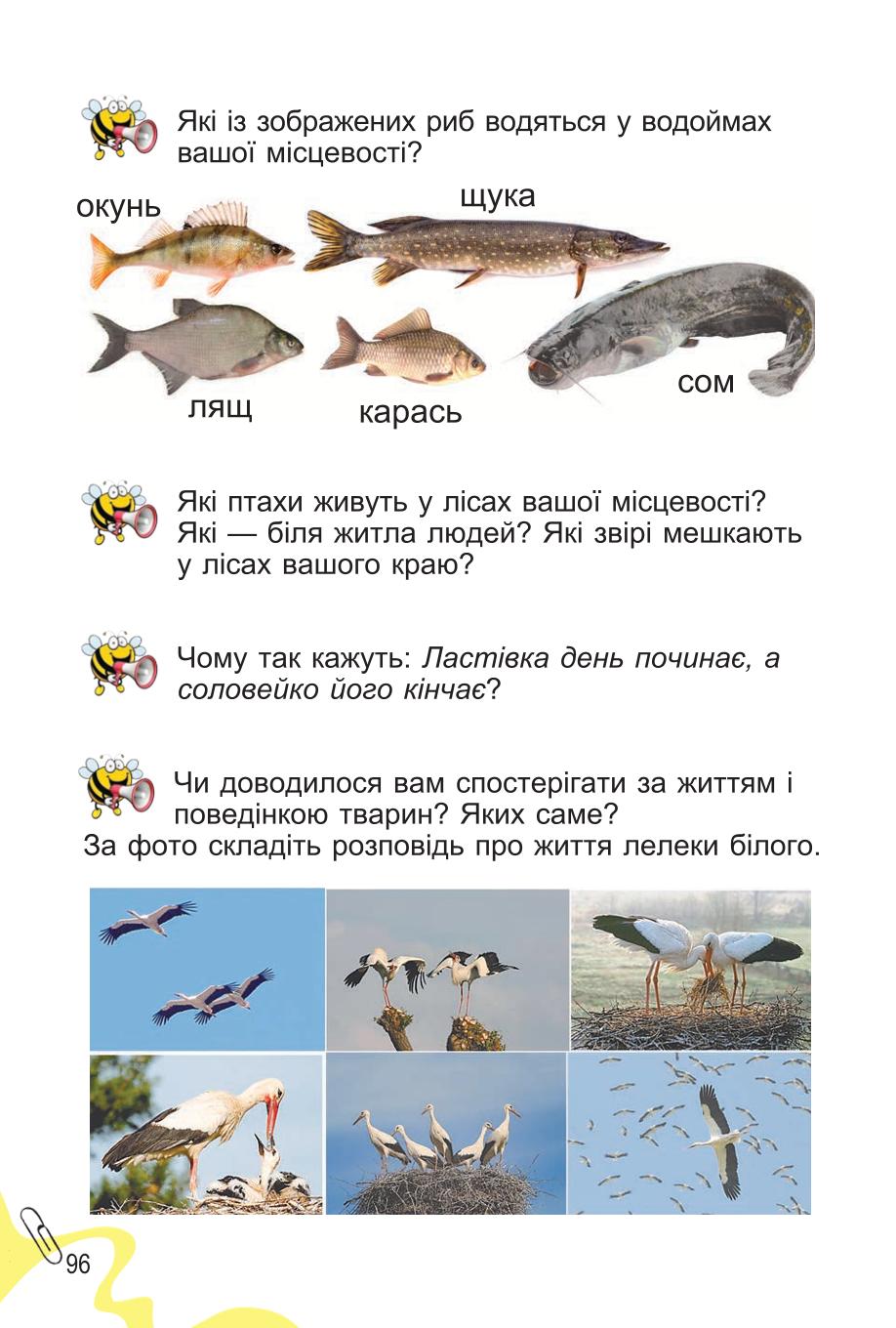 Мініатюра 96