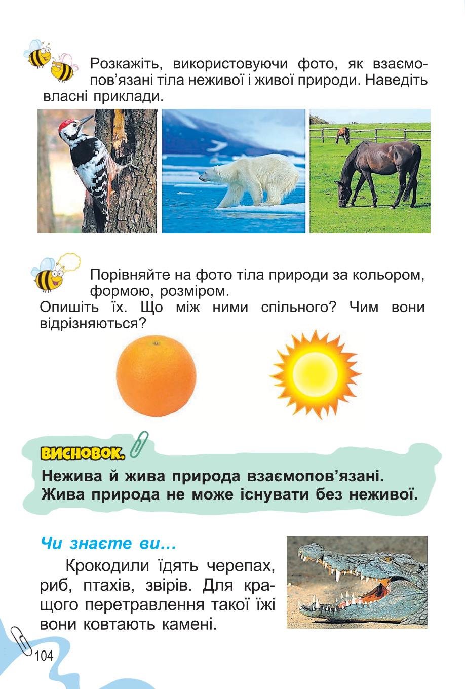 Мініатюра 104