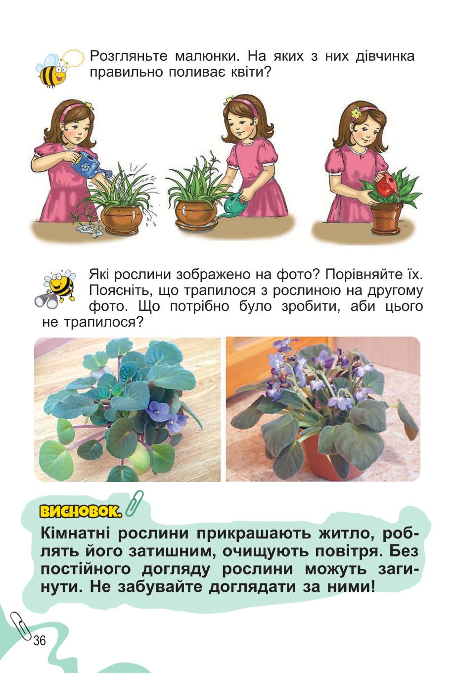 Мініатюра 36