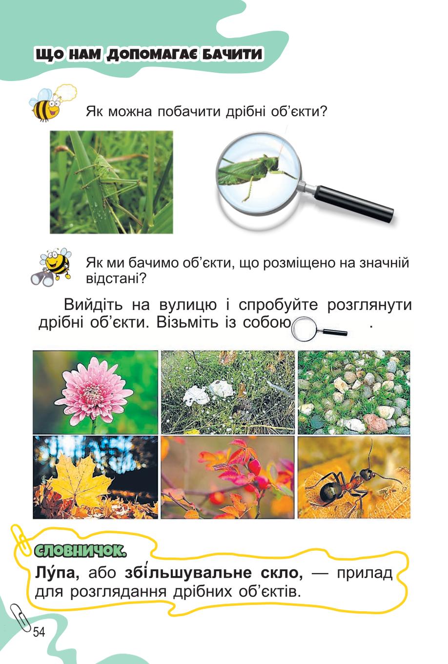 Мініатюра 54