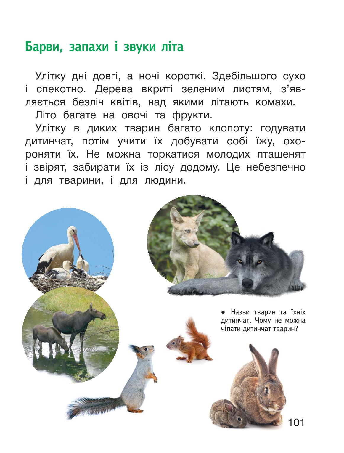 Мініатюра 101