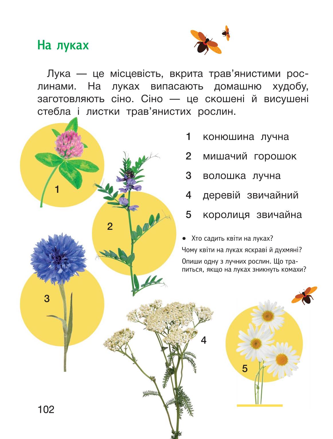 Мініатюра 102