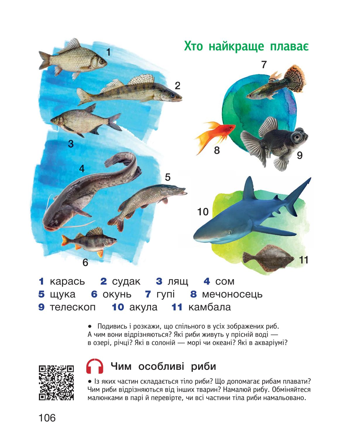 Мініатюра 106