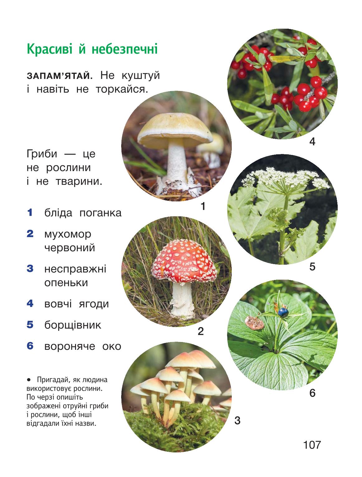 Мініатюра 107