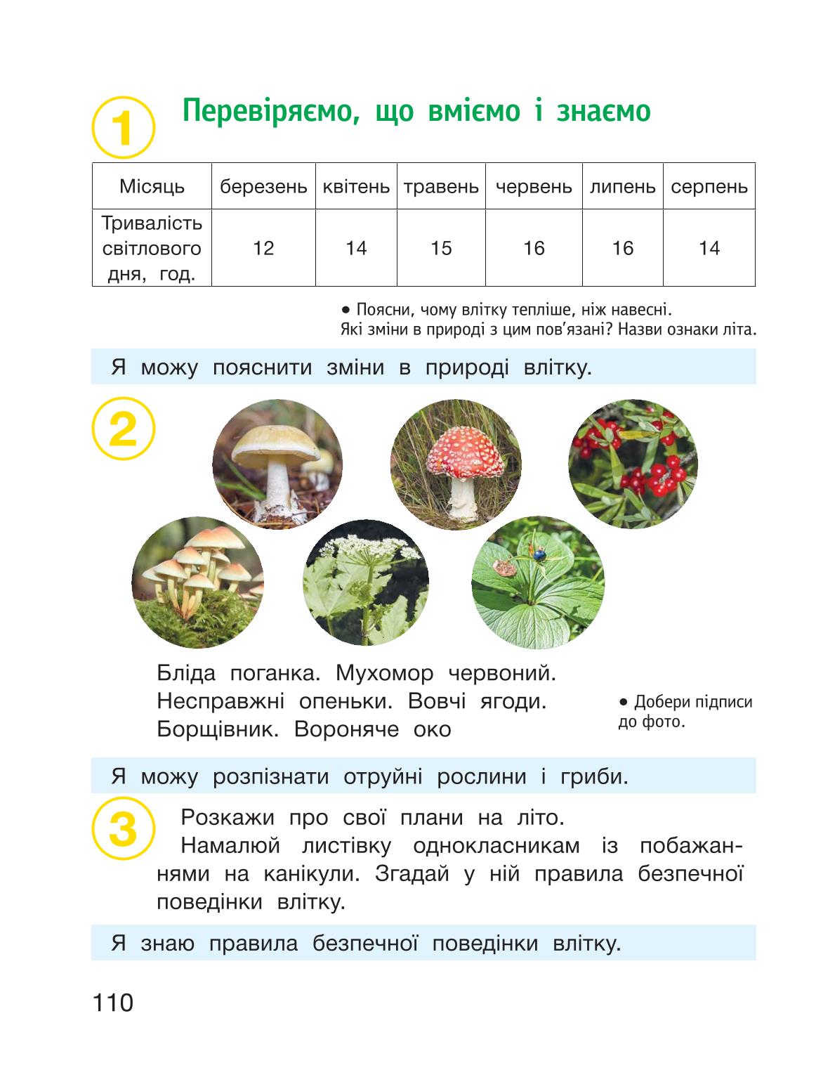 Мініатюра 110