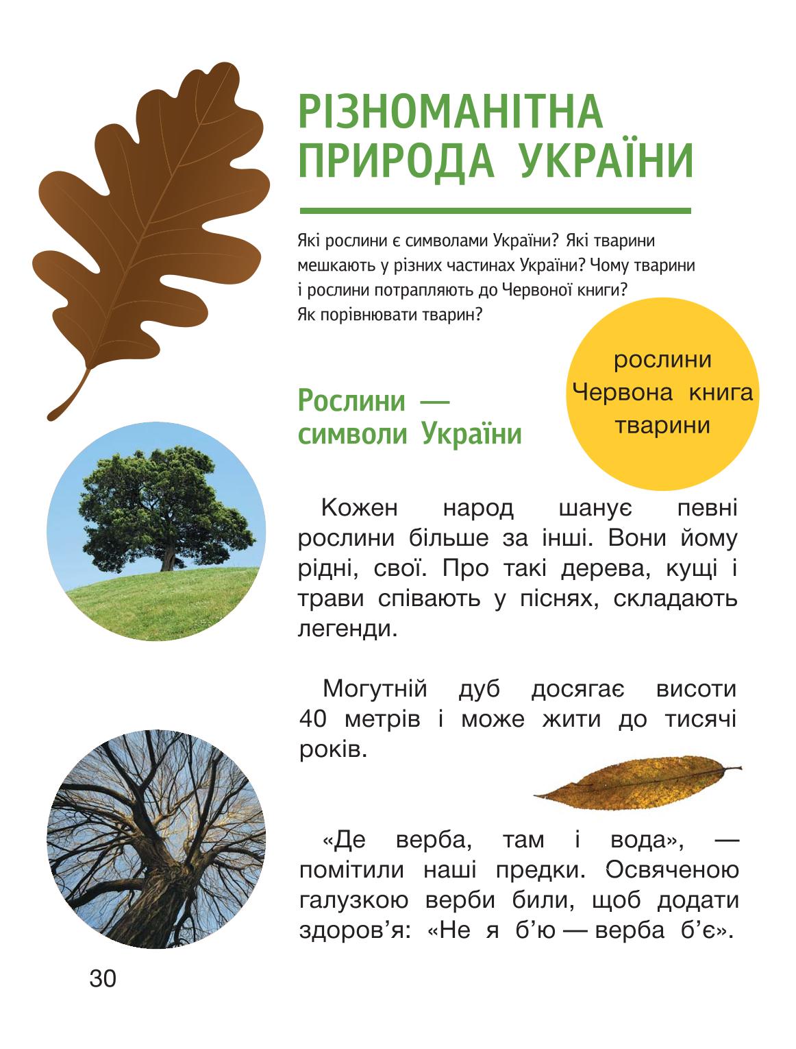 Мініатюра 30