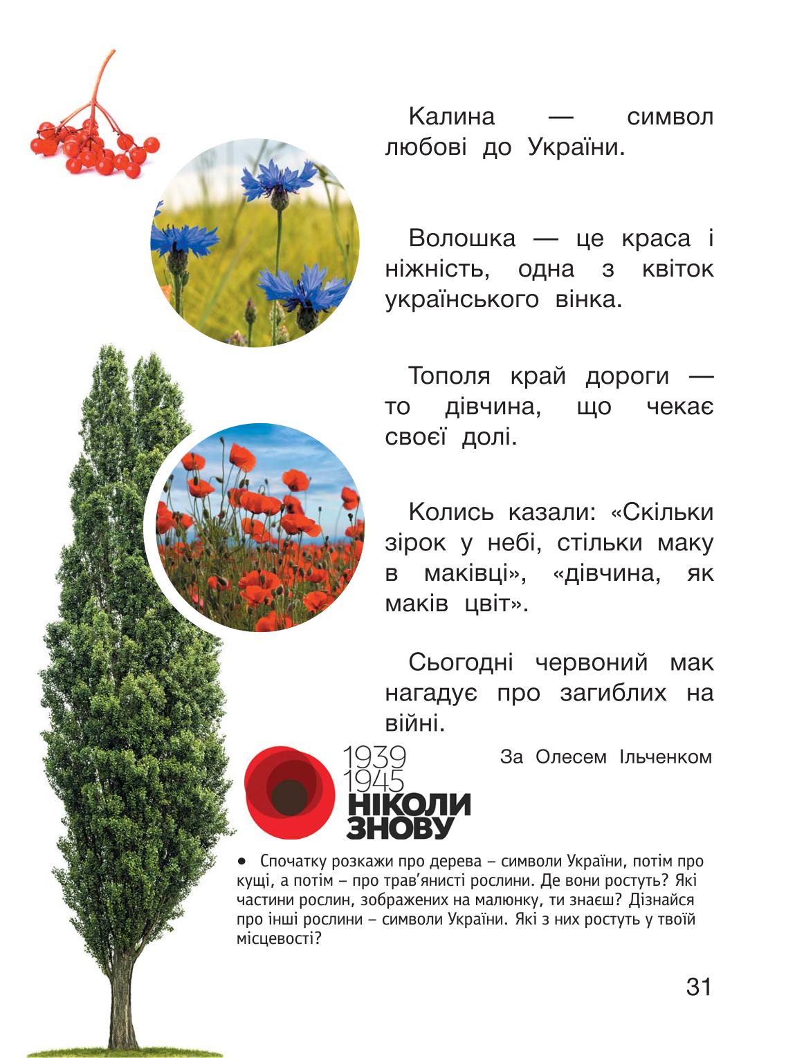 Мініатюра 31