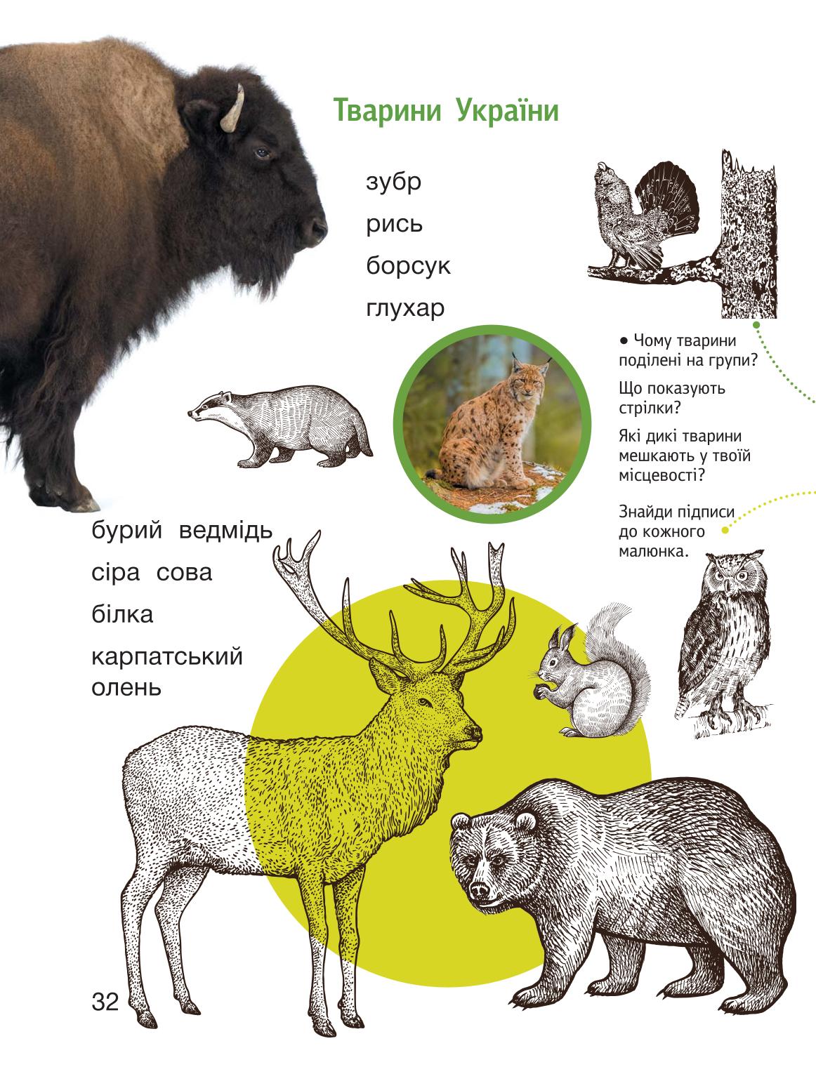 Мініатюра 32