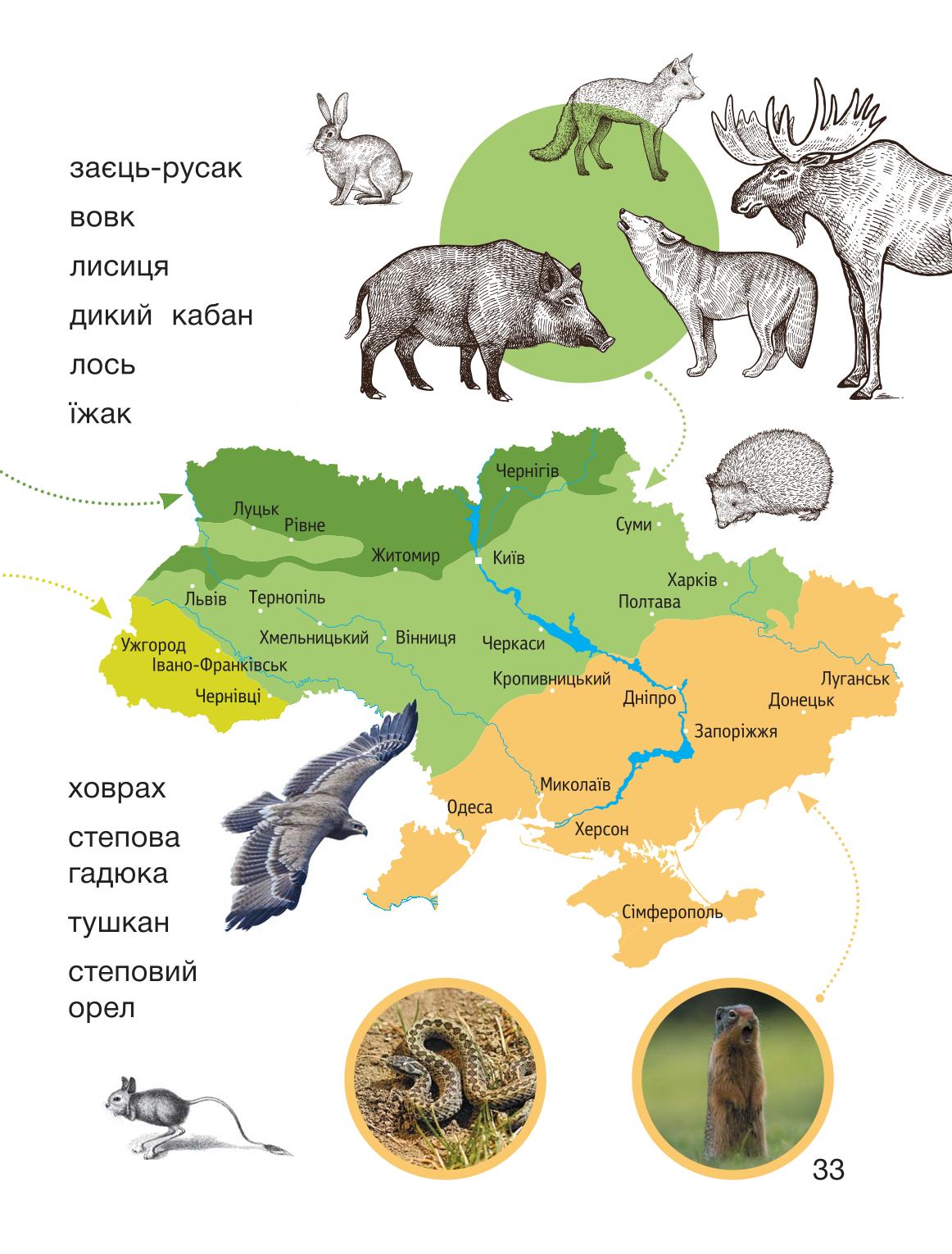 Мініатюра 33