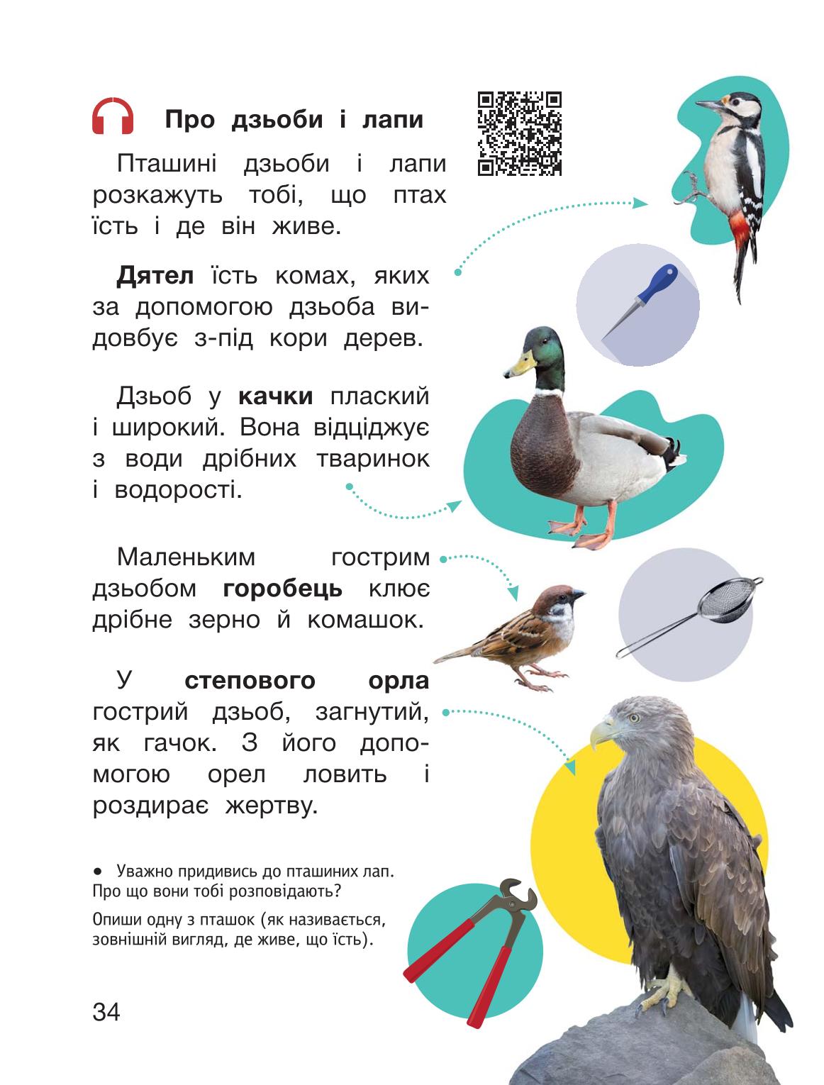 Мініатюра 34