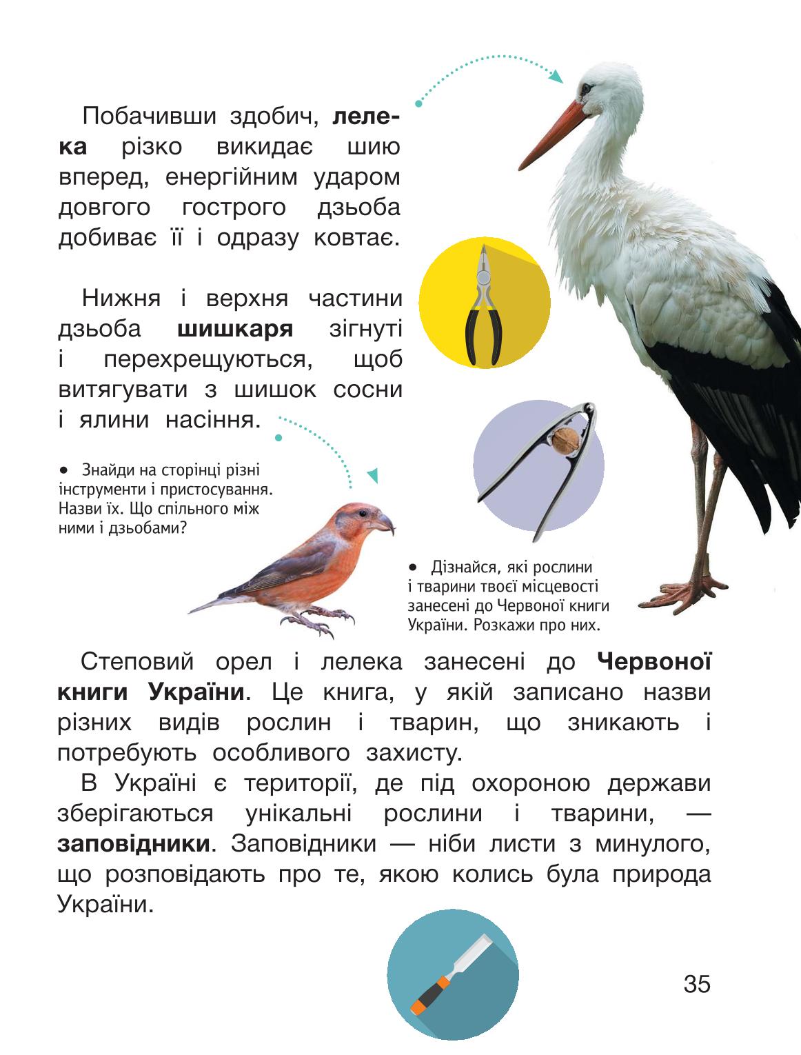 Мініатюра 35