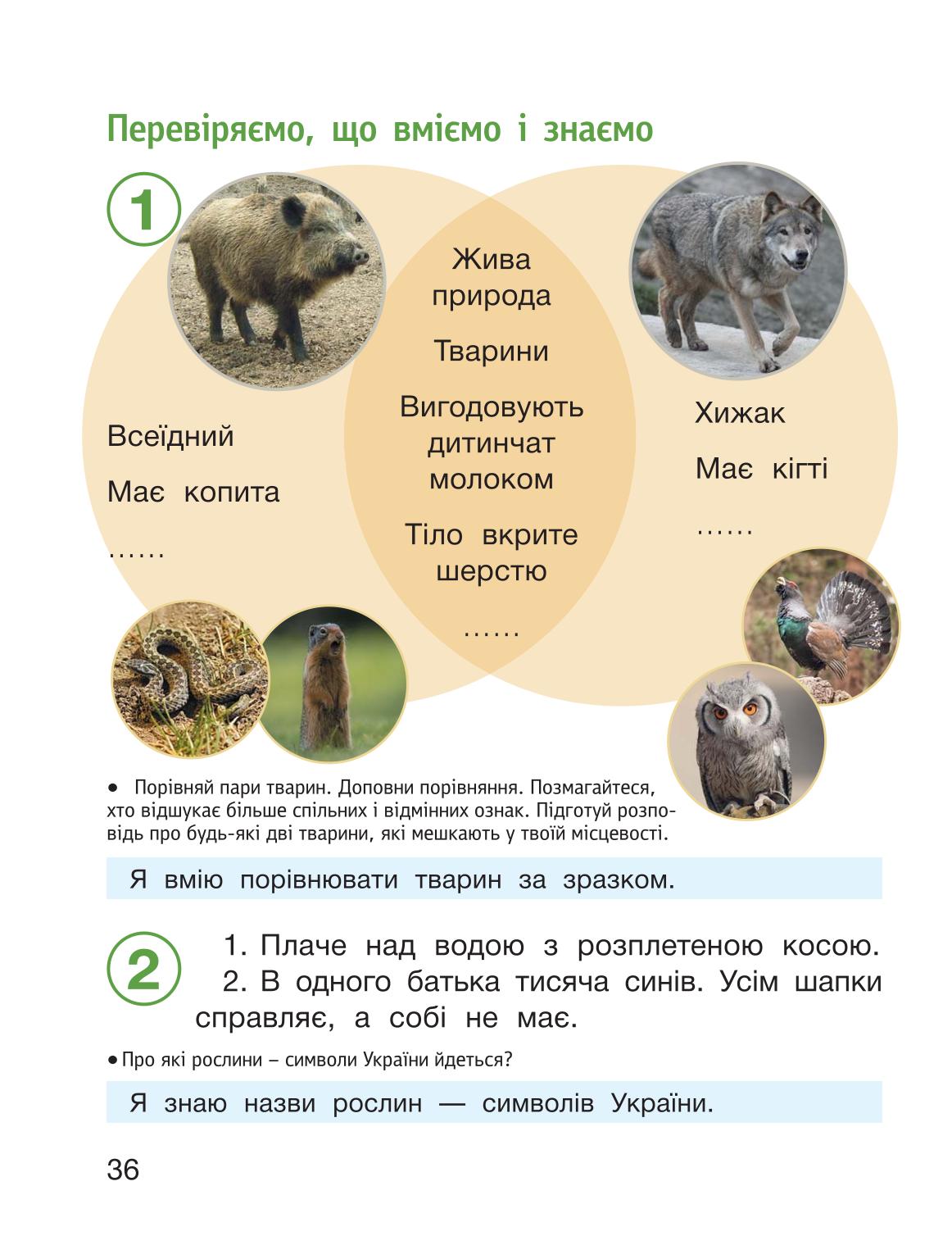 Мініатюра 36