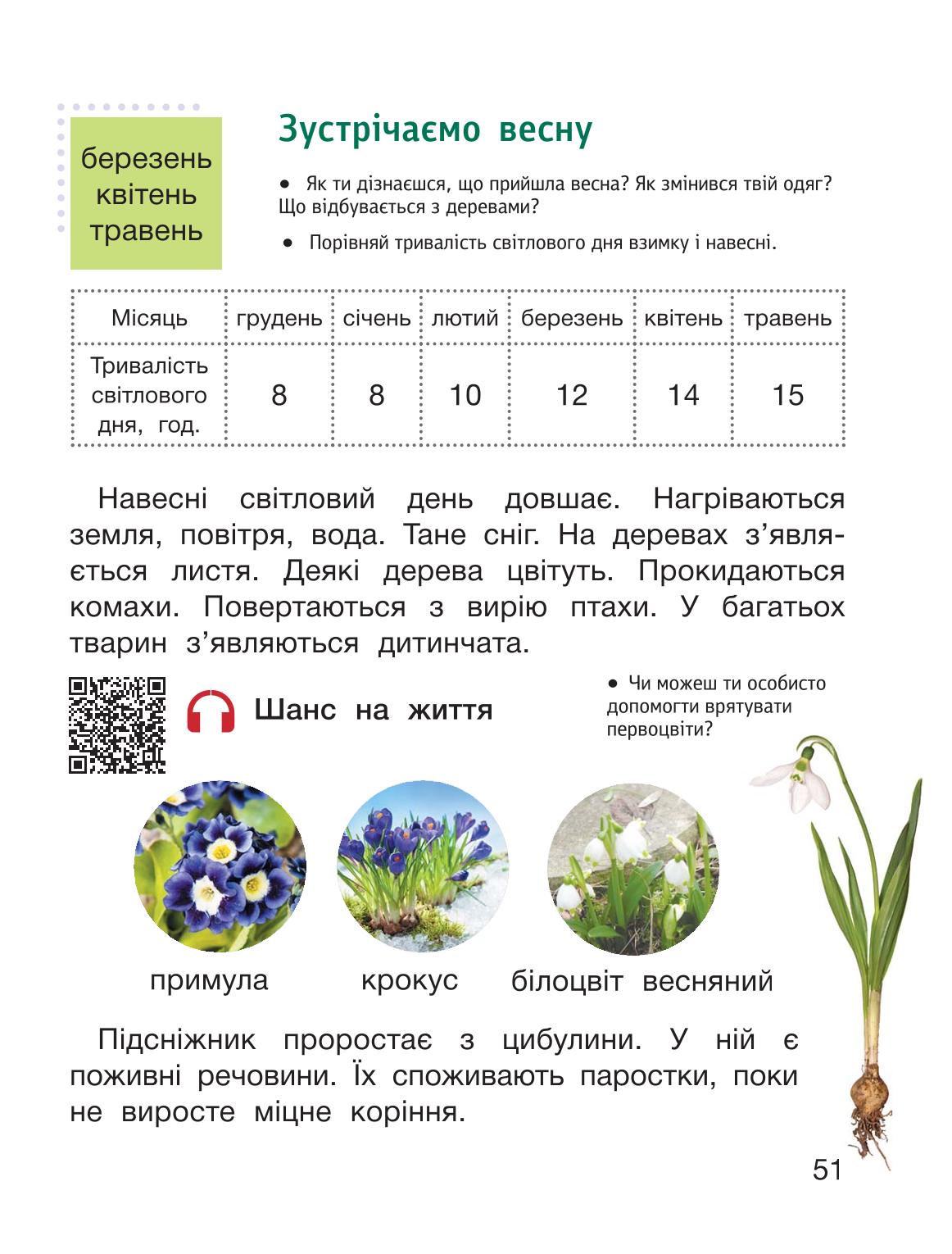 Мініатюра 51
