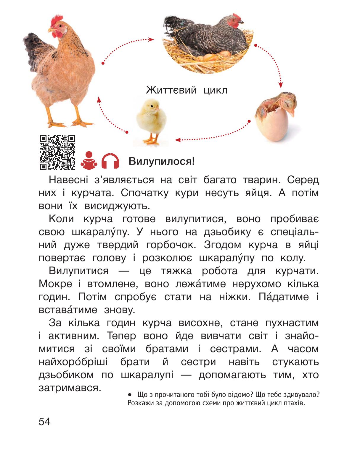 Мініатюра 54