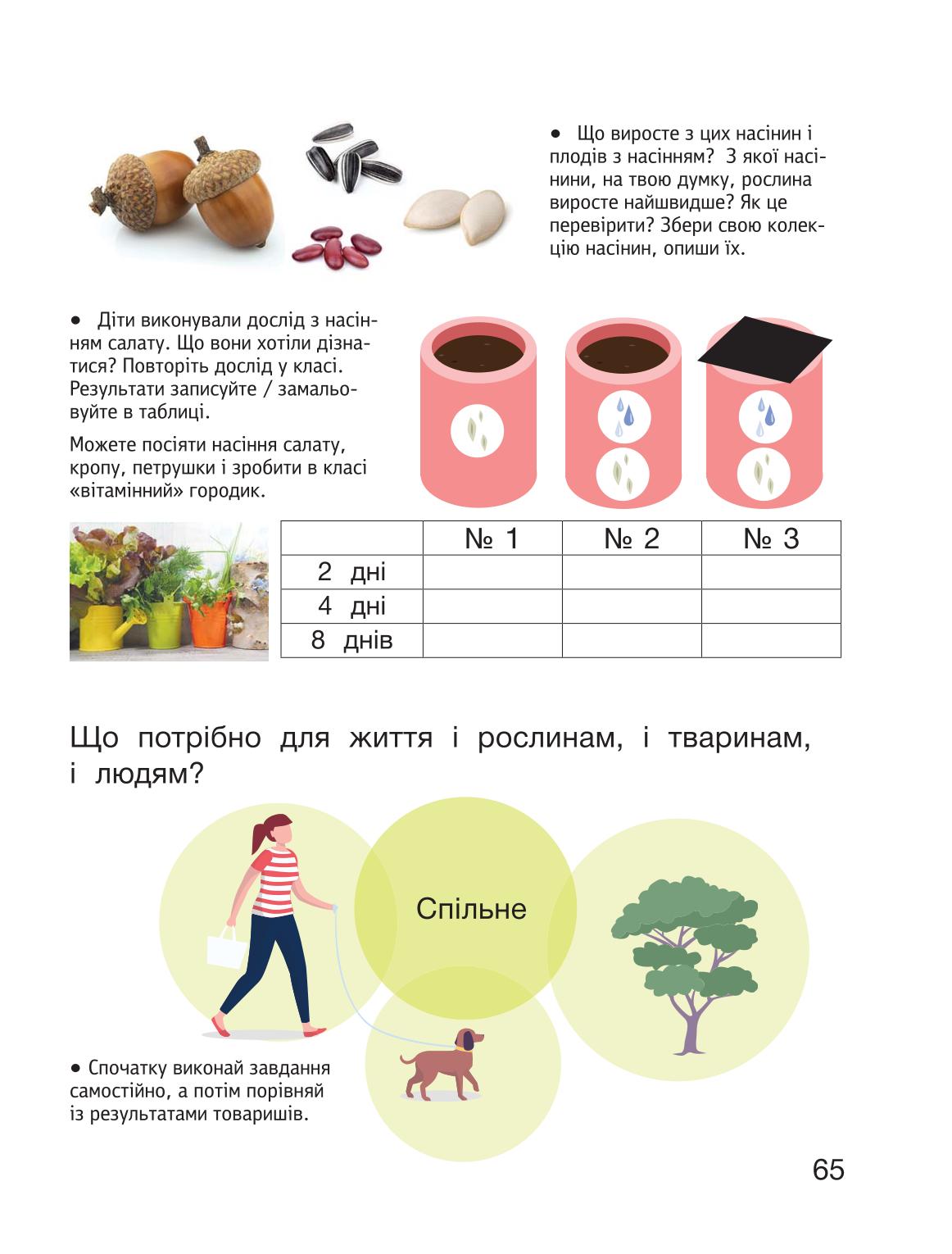 Мініатюра 65