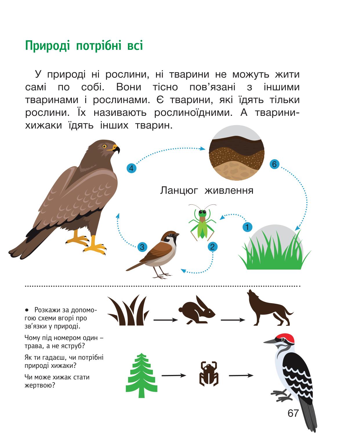 Мініатюра 67