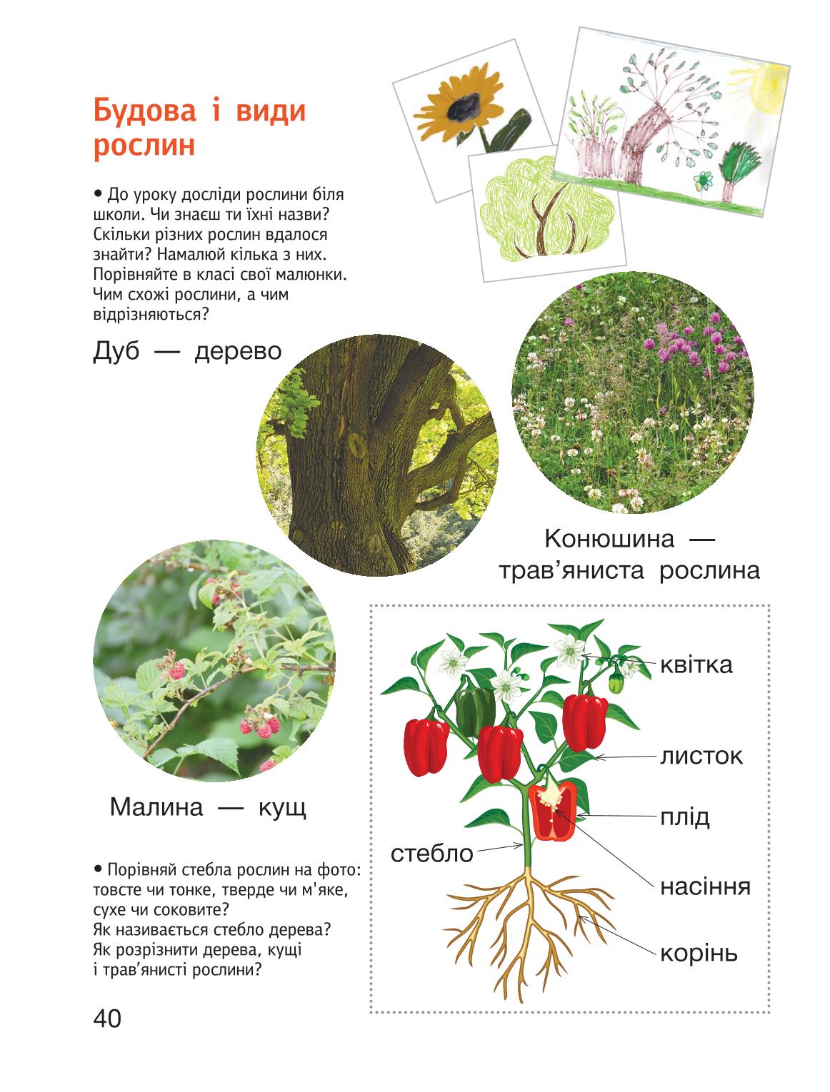 Мініатюра 40