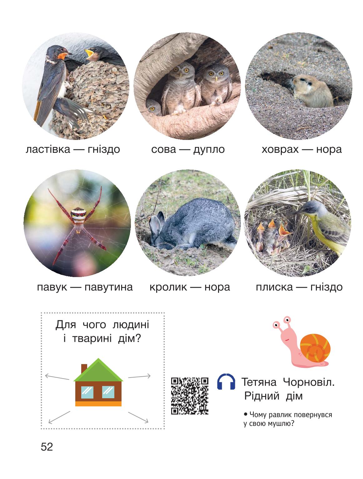Мініатюра 52