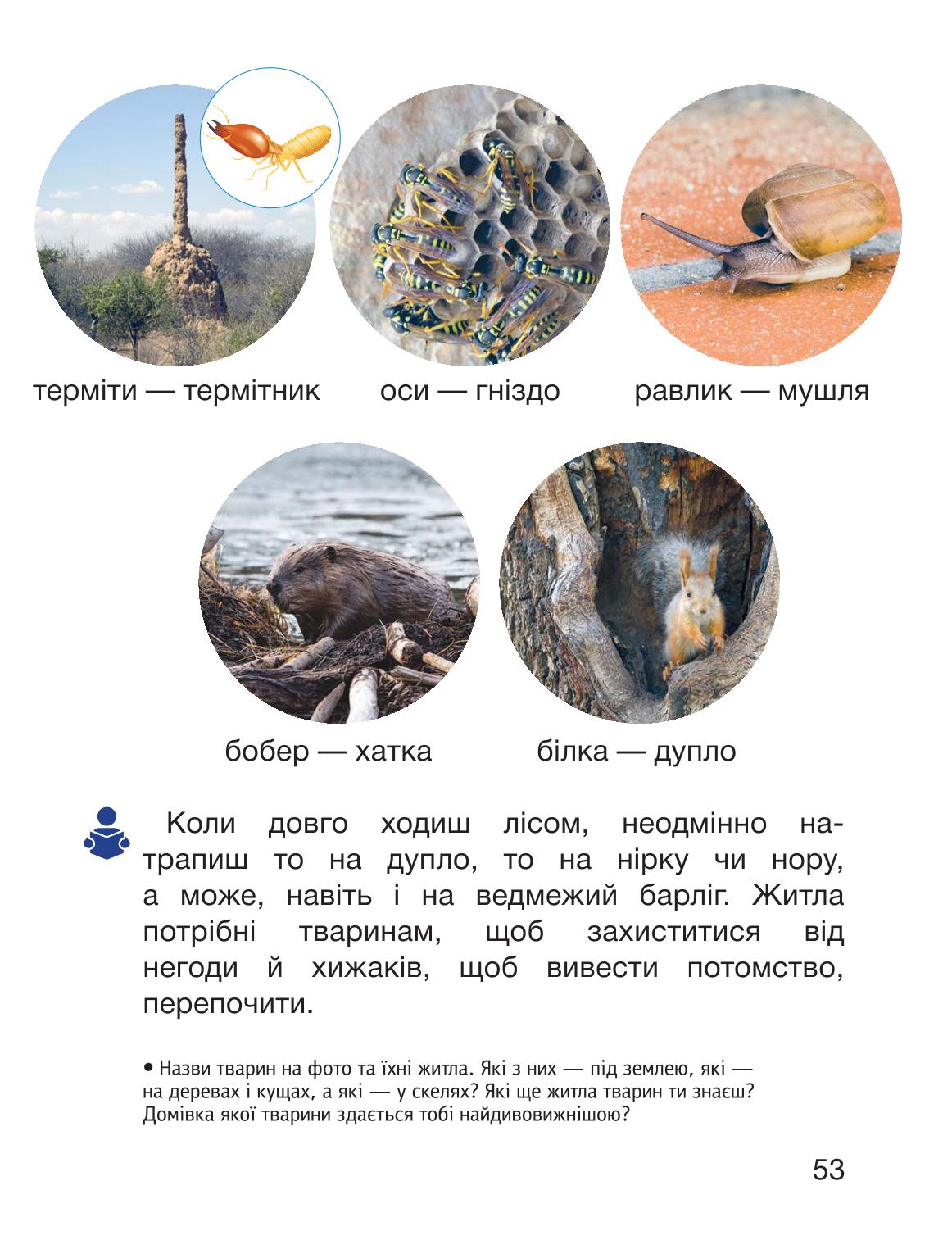 Мініатюра 53