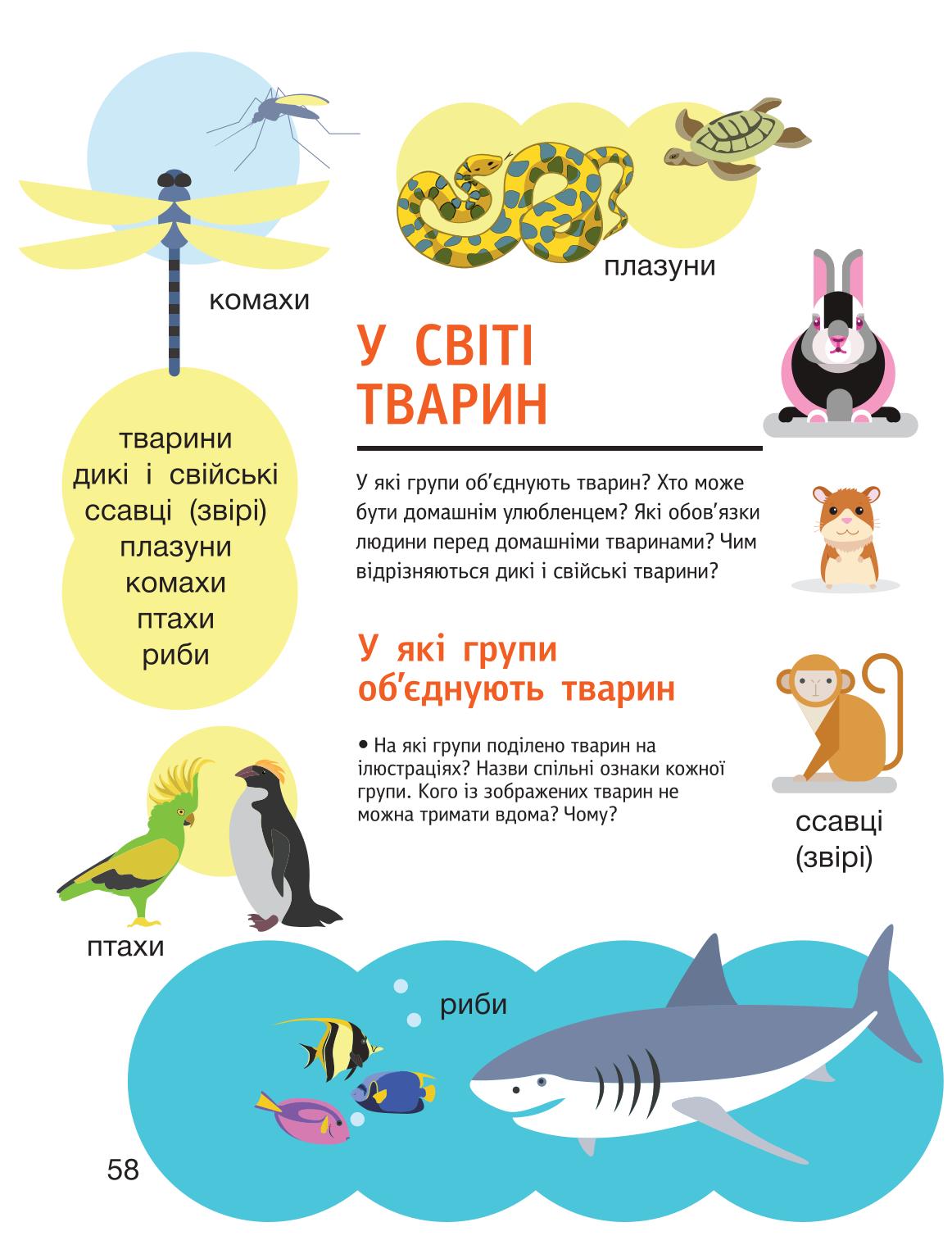 Мініатюра 58