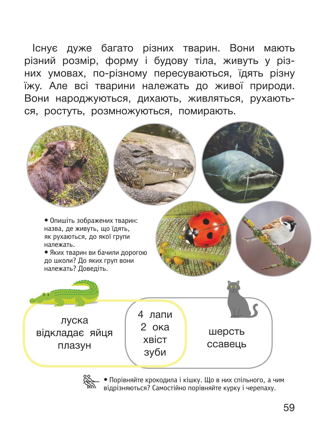 Мініатюра 59