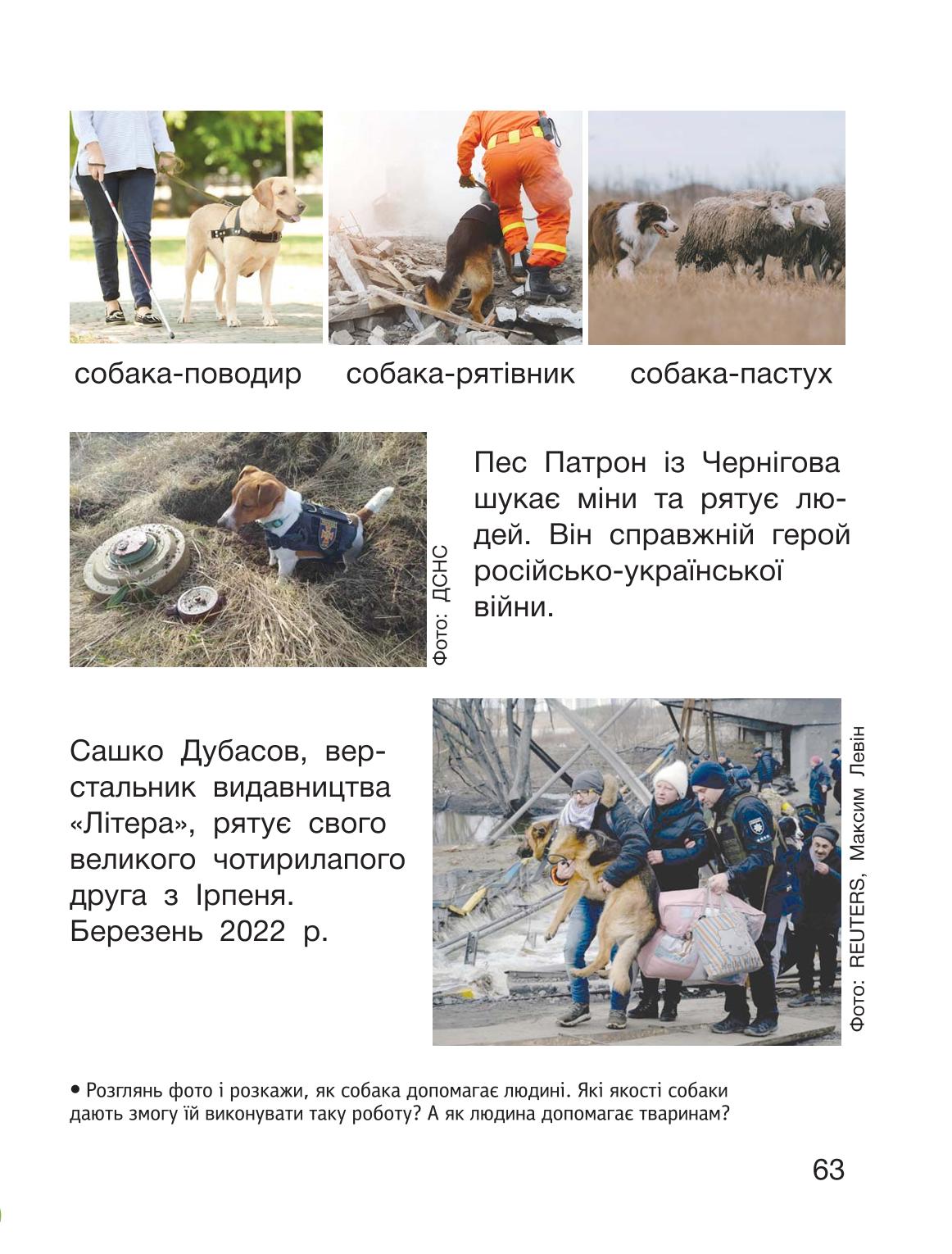 Мініатюра 63