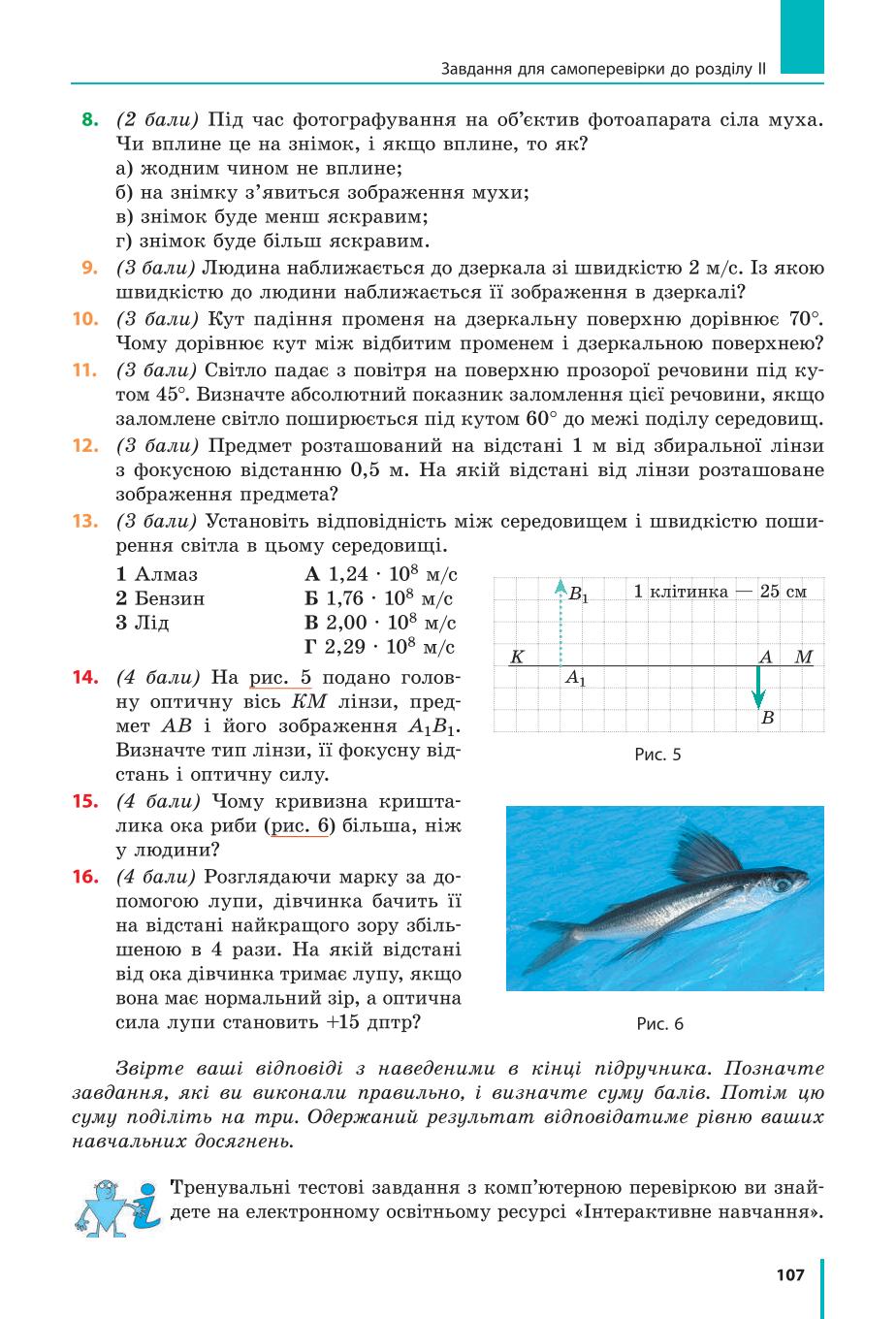 Мініатюра 107