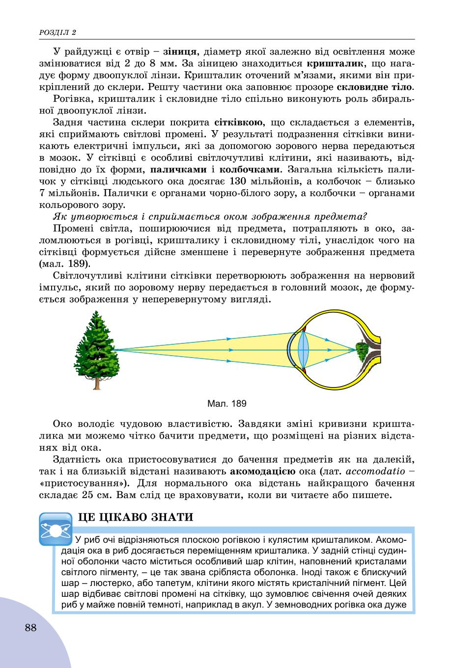 Мініатюра 88