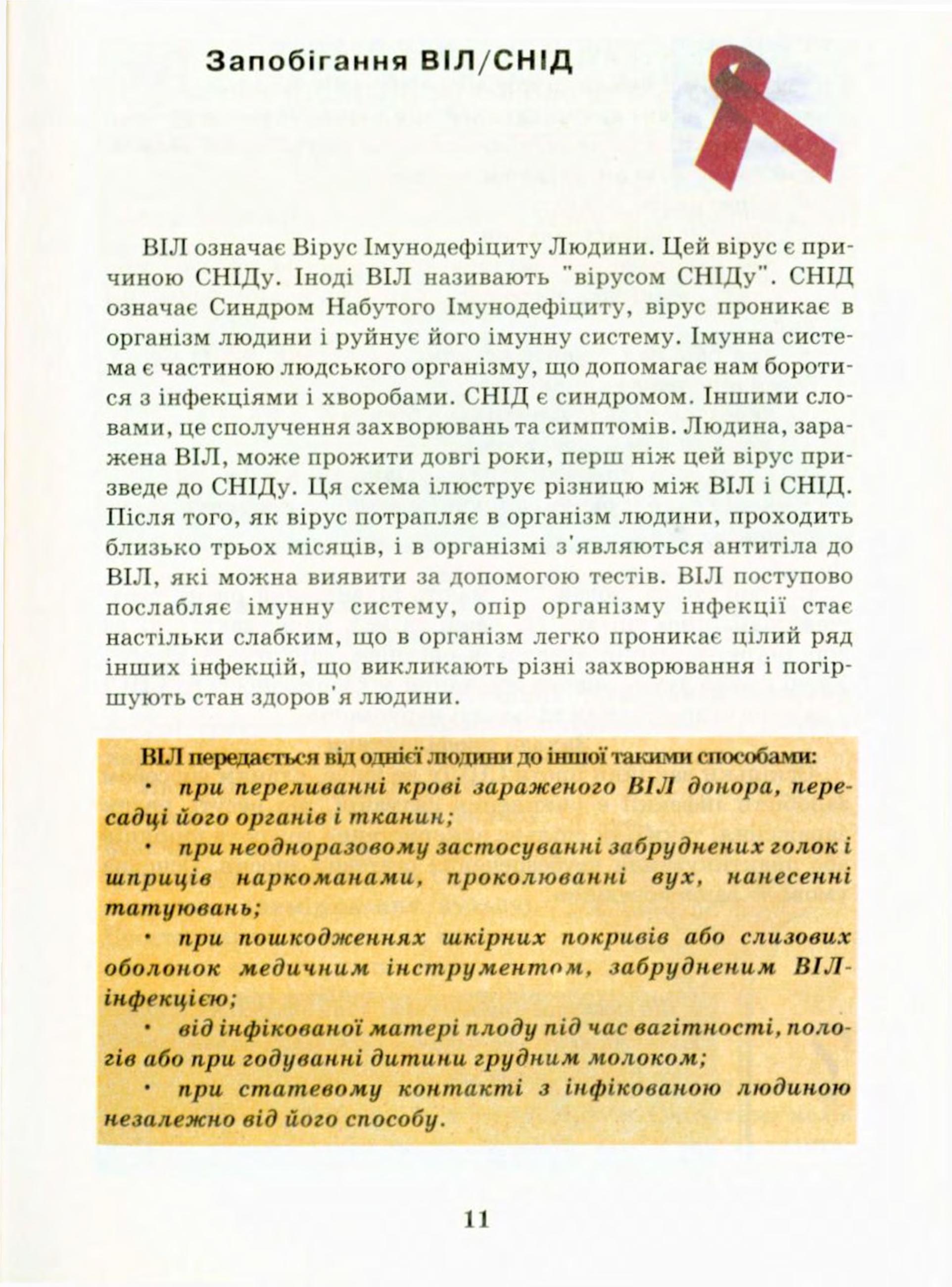 Мініатюра 11