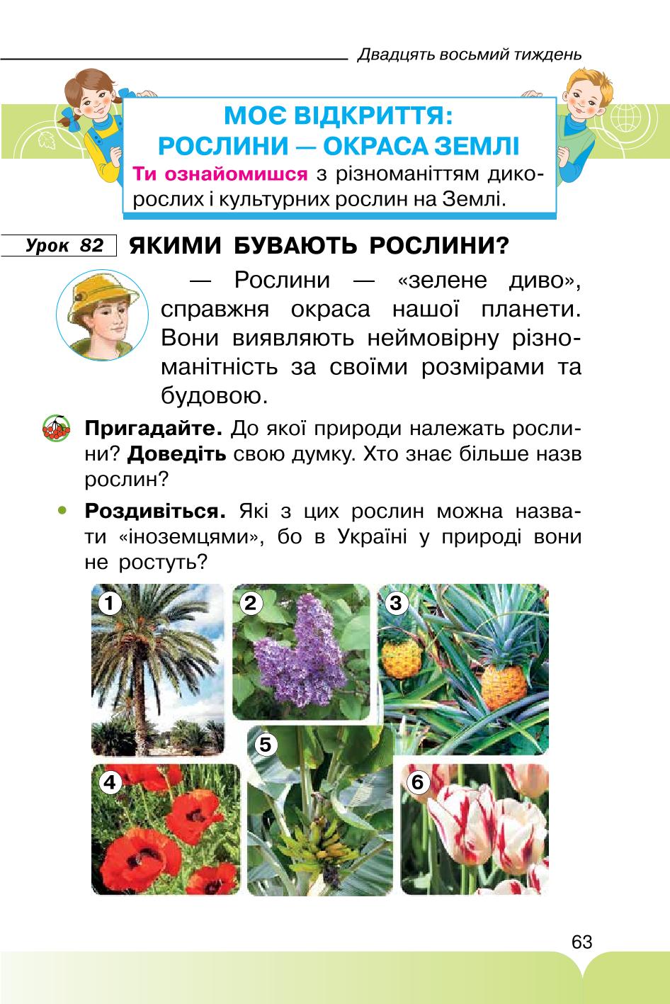 Мініатюра 63