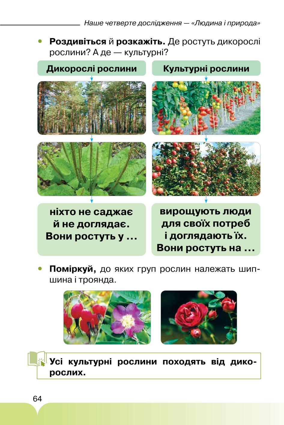 Мініатюра 64