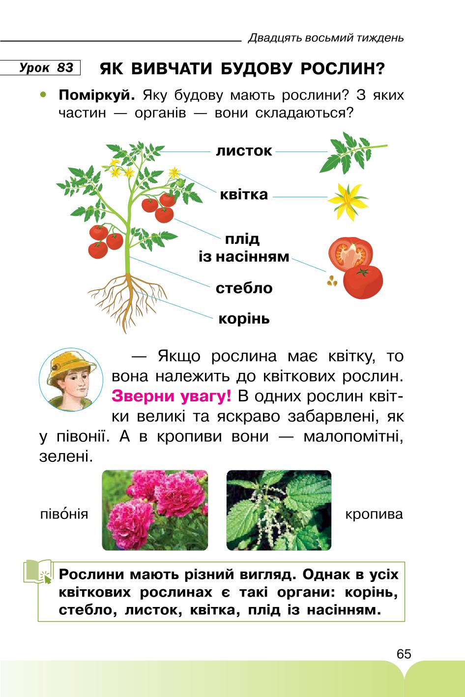 Мініатюра 65