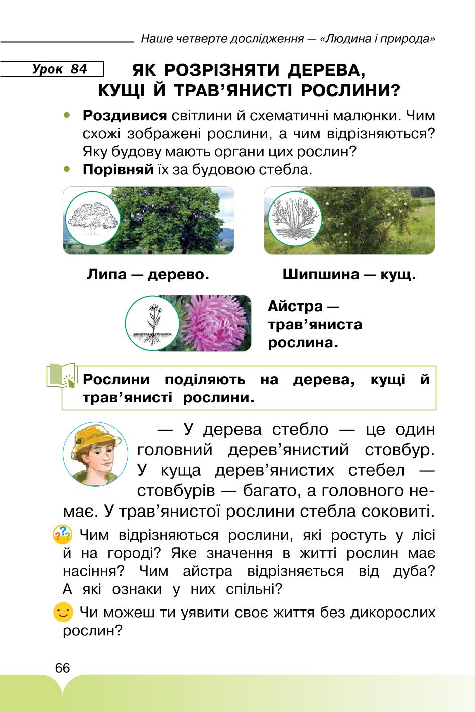 Мініатюра 66