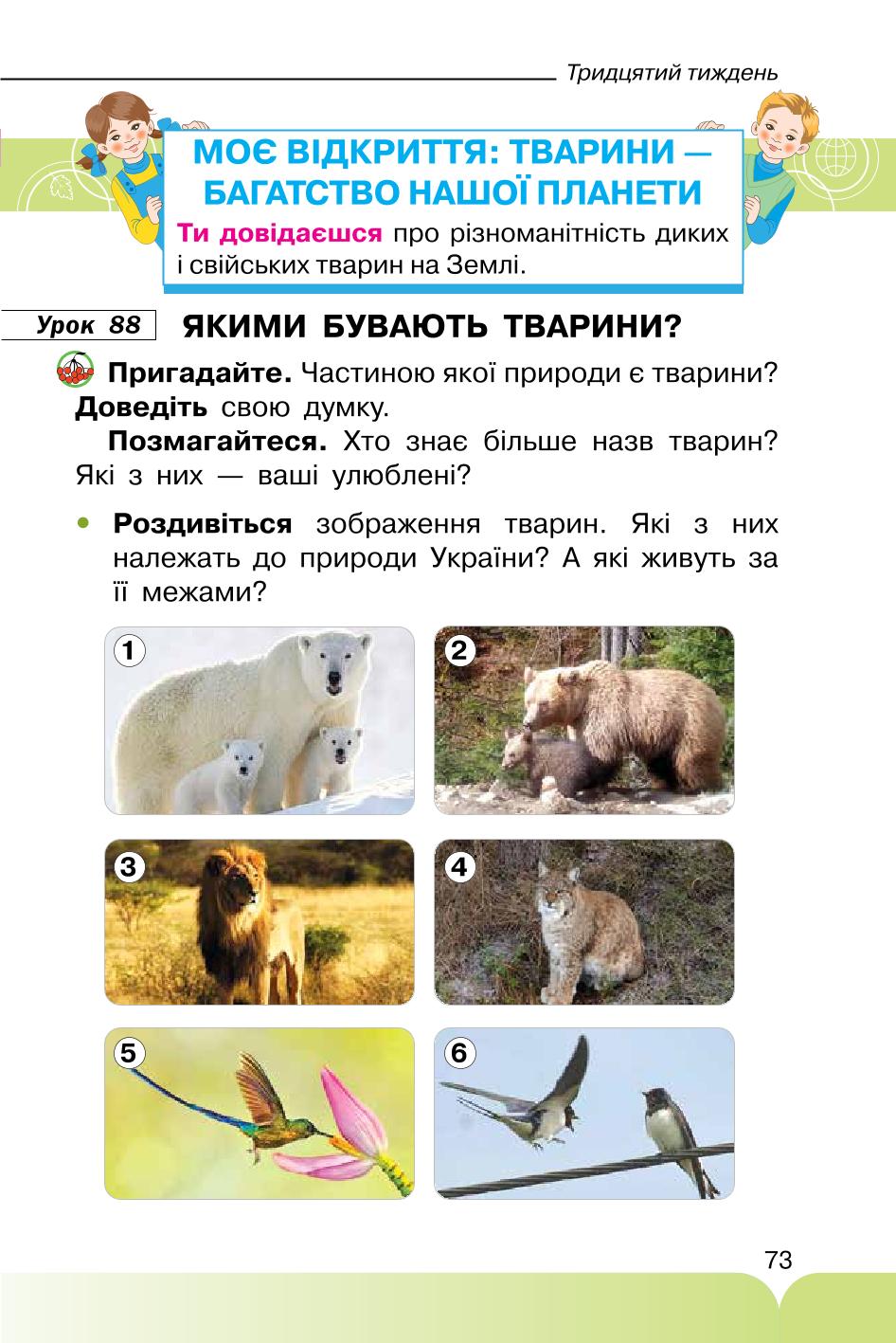 Мініатюра 73
