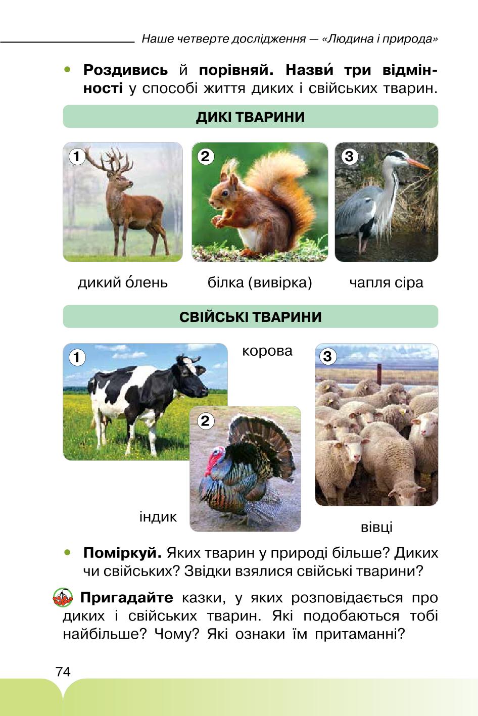 Мініатюра 74