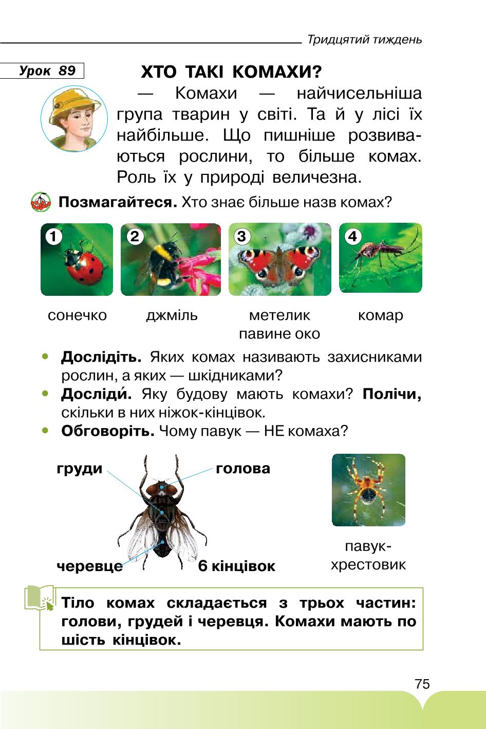Мініатюра 75