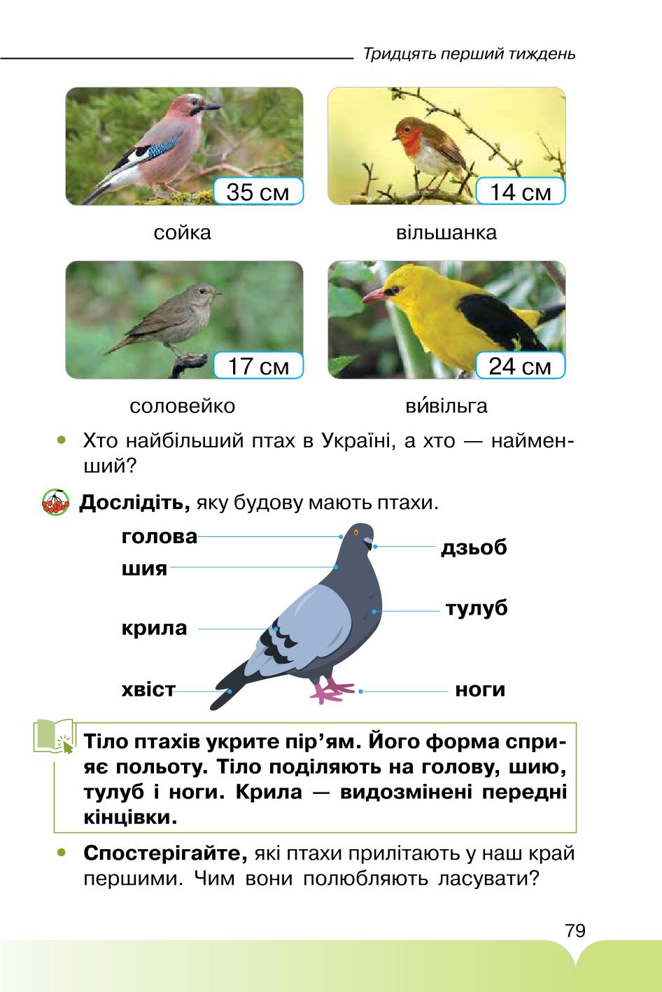 Мініатюра 79