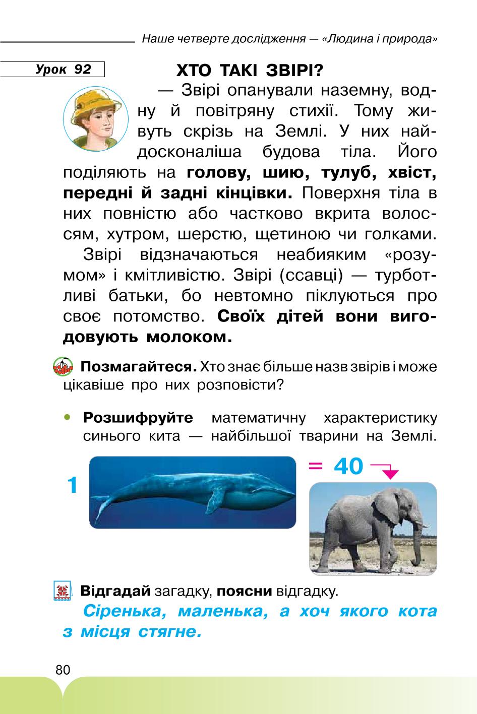 Мініатюра 80