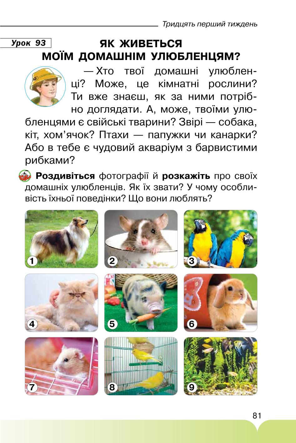Мініатюра 81