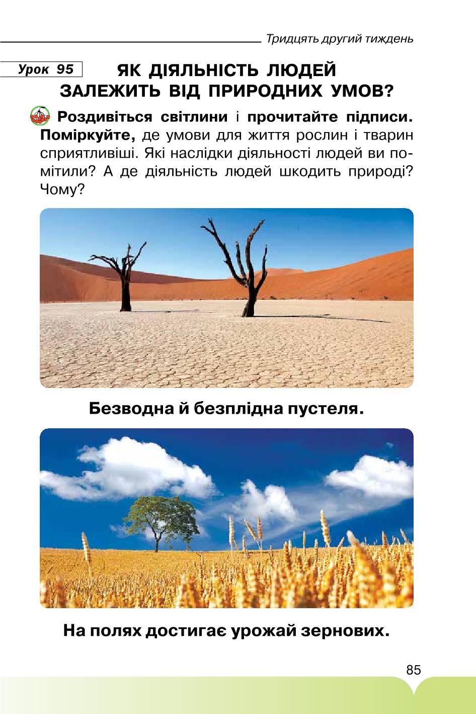 Мініатюра 85