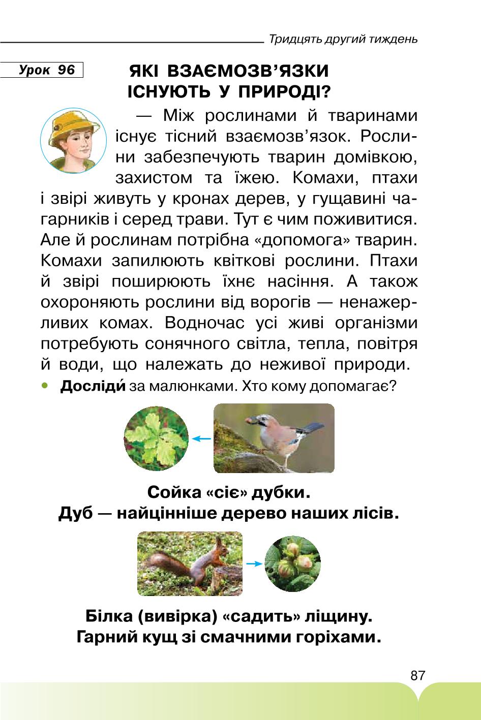 Мініатюра 87
