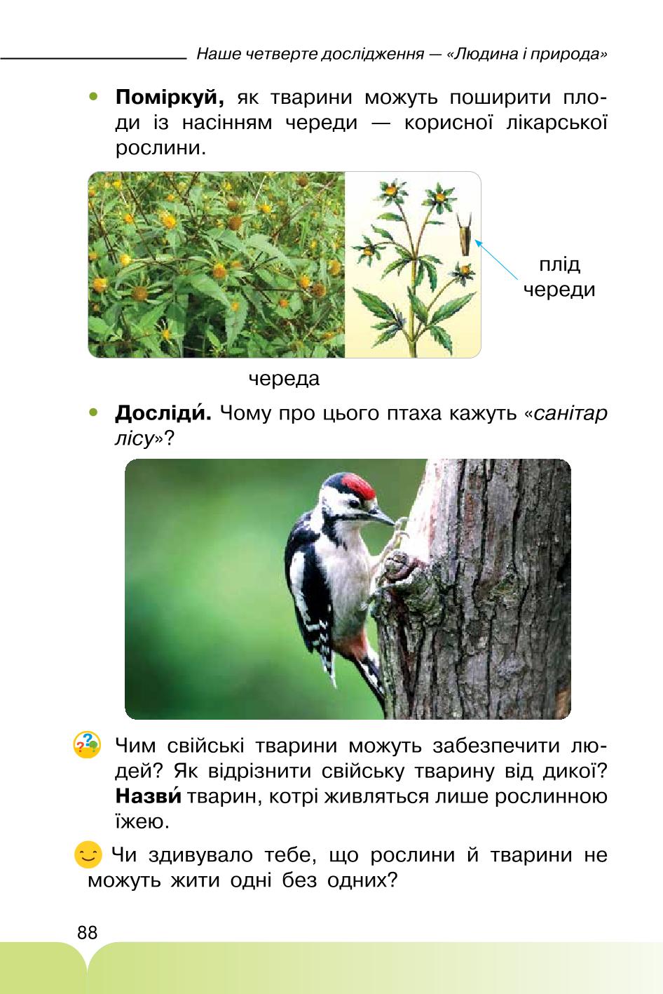 Мініатюра 88