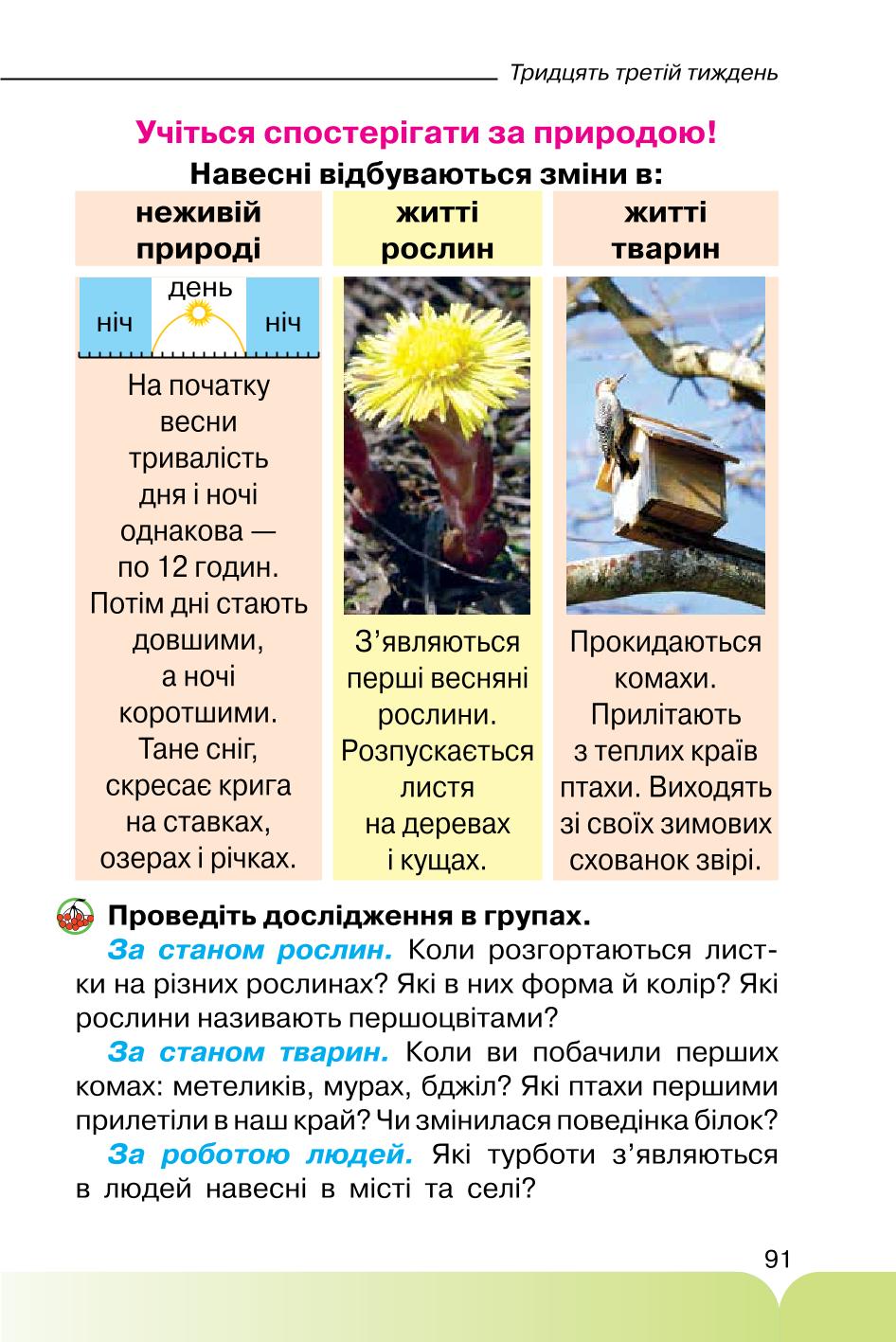 Мініатюра 91