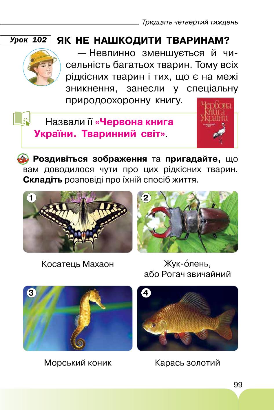 Мініатюра 99