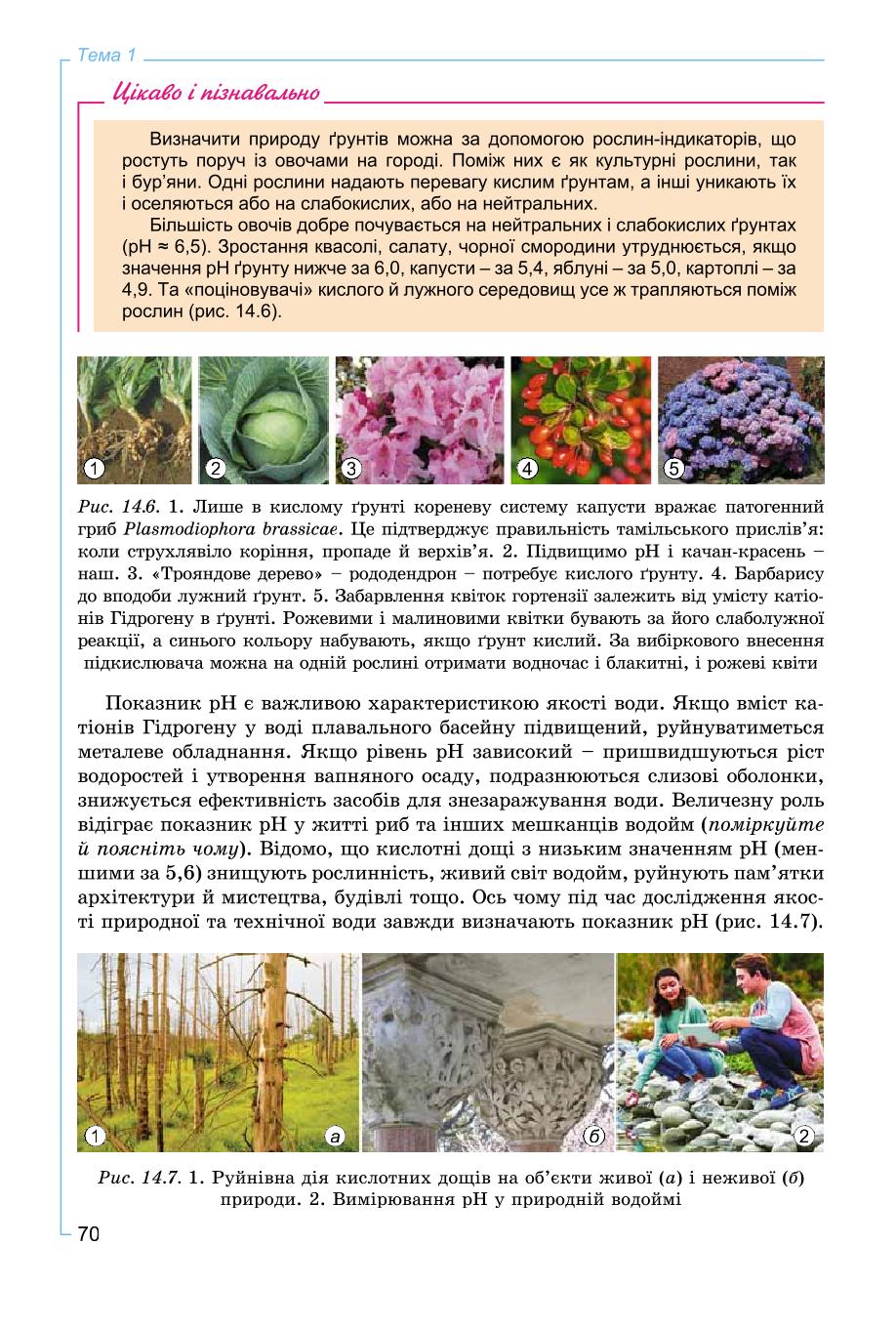 Мініатюра 70
