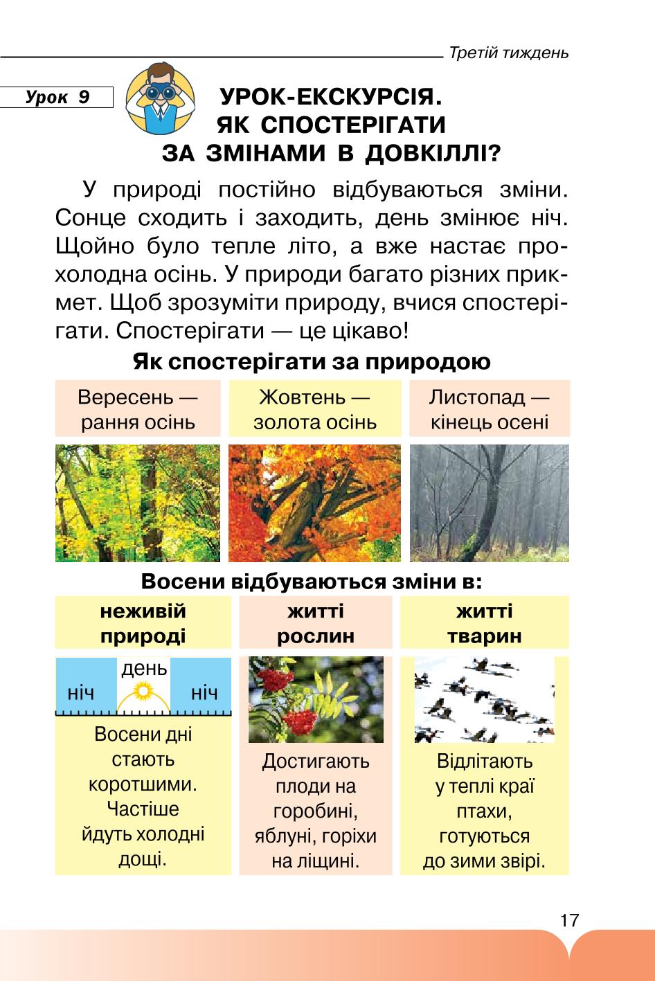 Мініатюра 17