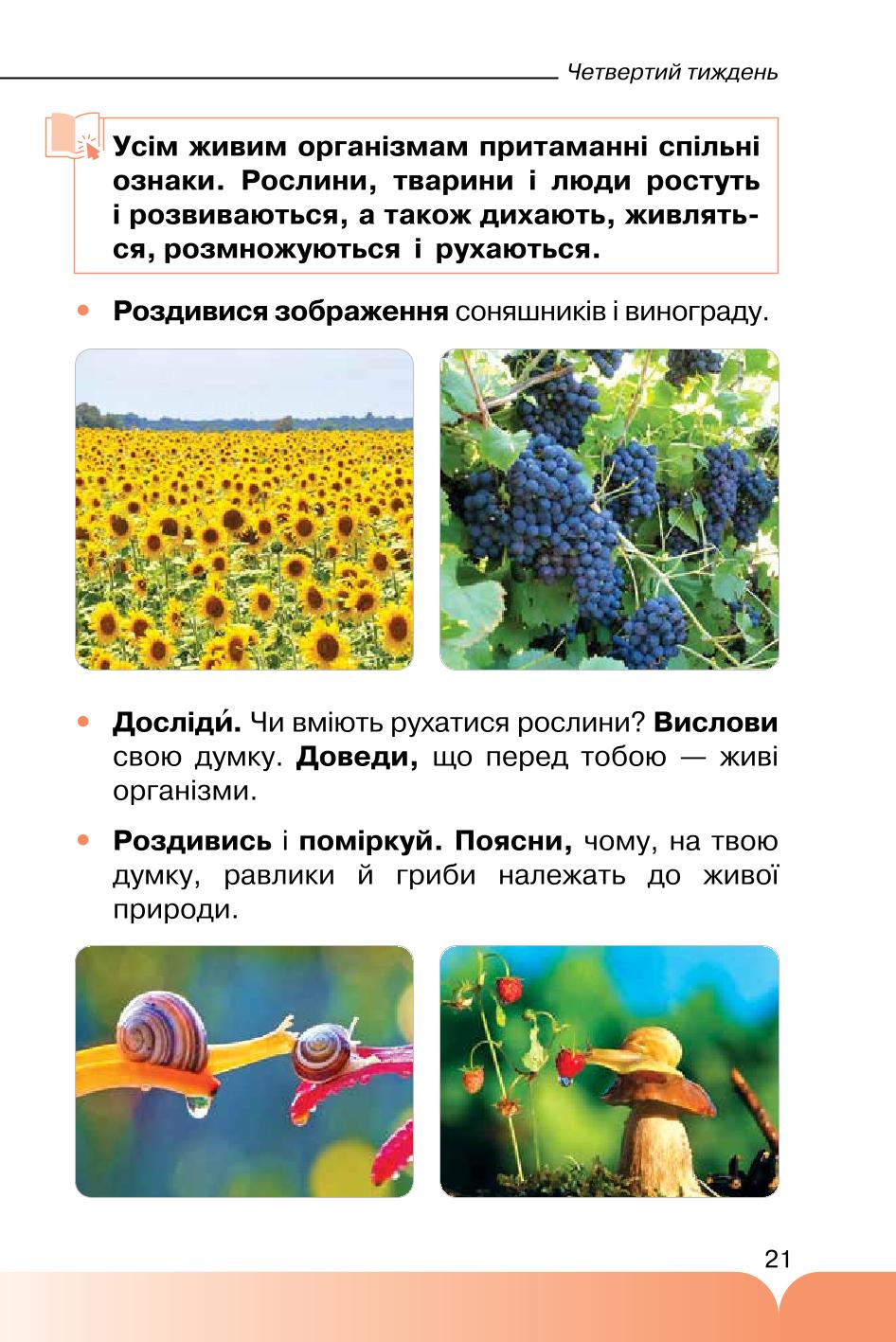 Мініатюра 21