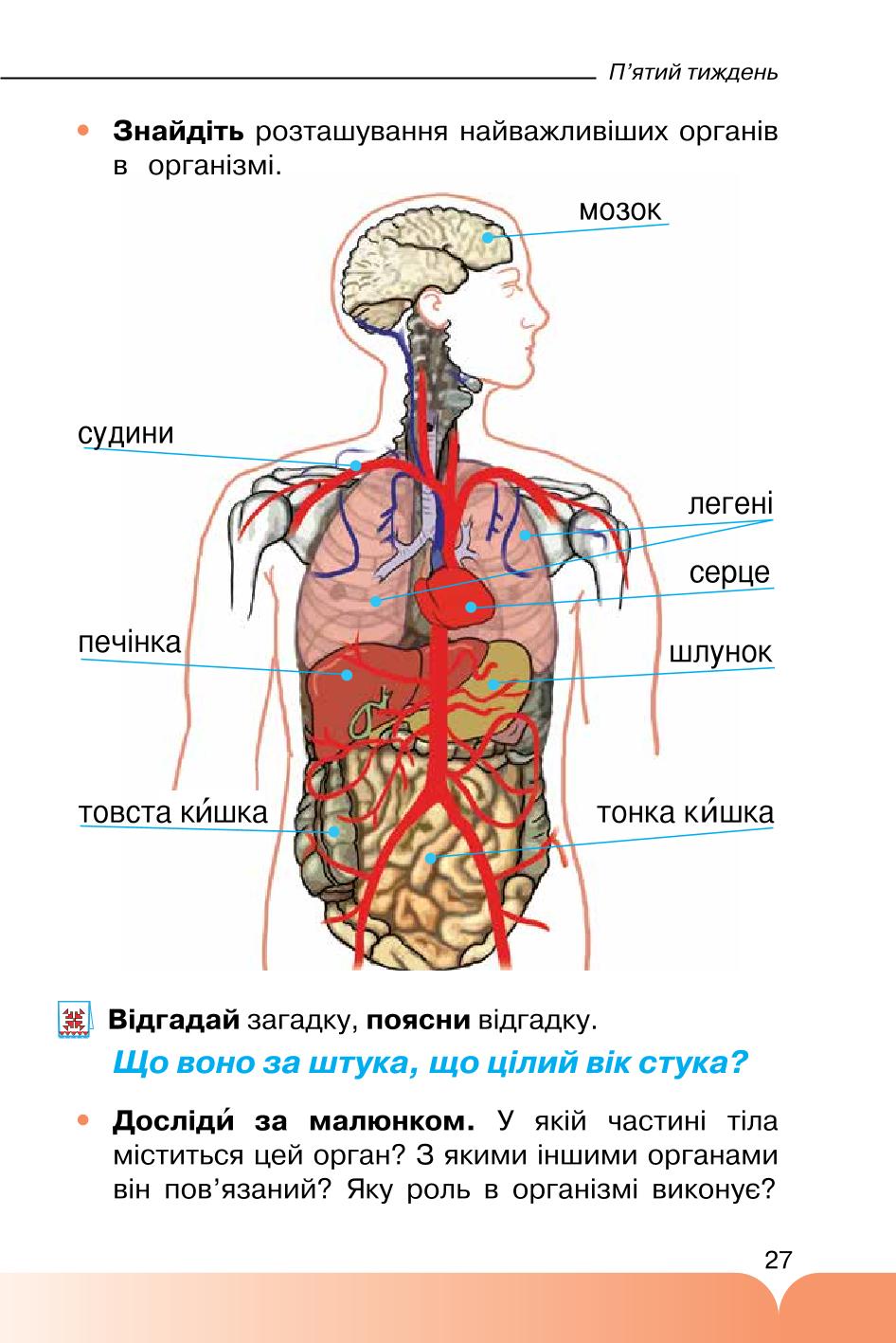 Мініатюра 27