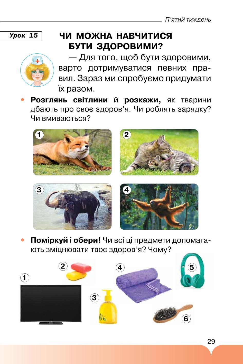 Мініатюра 29
