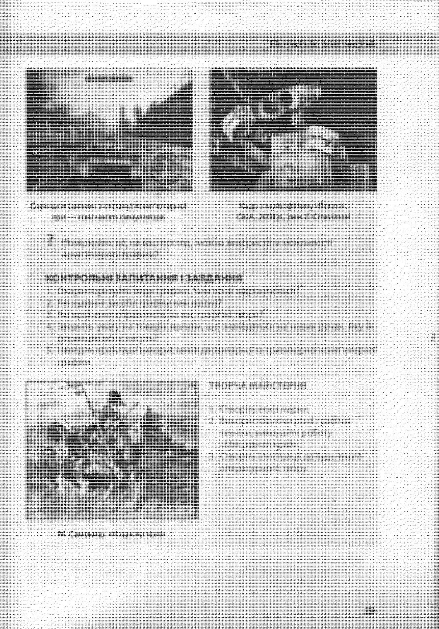 Мініатюра 28